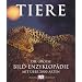 Tiere