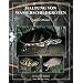 Haltung von Wasserschildkr�ten