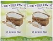 The Gluten, Free Pantry All, Purpose Flour, 16 oz Boxes , 2 pk