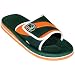 My Team Miami Hurricanes Slides