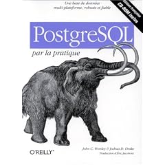 PostgreSQL par la pratique (en fran�ais)
