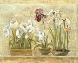 Cheri Blum - Asian Florals, Size: 16 x 20 Canvas Finish