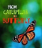 From caterpillar to butterfly