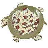 Buy Mudpuppy Pottery Handmade 7.5-inch Turtle Plate Knowing God: Walking through the Book of Books