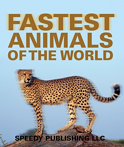 fastest animals of the world super fast animals