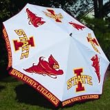 Iowa State Cyclones NCAA Patio Market Umbrella (10' Round)