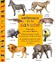 Animaux de la savane