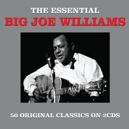 Big Joe Williams - Essential - Zortam Music