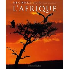 Regards sur l'Afrique