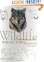 Wolves, Foxes & Coyotes (Wildlife Painting Basics)
