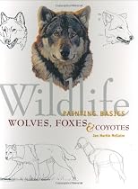 Wolves, Foxes & Coyotes