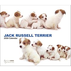Jack Russell Terrier (The DOG Artlist Collection) 2009 Calendar