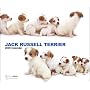 Jack Russell Terrier (The DOG Artlist Collection) 2009 Calendar