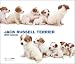Jack Russell Terrier (The DOG Artlist Collection) 2009 Calendar