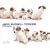 Jack Russell Terrier (The DOG Artlist Collection) 2009 Calendar