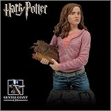 Hermione Granger from The Prisoner of Azkaban