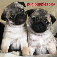 Pug Puppies 2006 Calendar