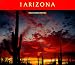 Book Arizona