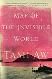 Map of the Invisible World: A Novel