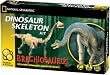Thames & Kosmos Brachiosaurus Skeleton
