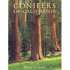 Conifers of California