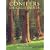 Conifers of California