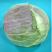 国産野菜 キャベツ 約1.4kg