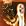 Lifeforms