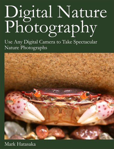 Cameras and Photographs