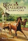 The Black Stallion's...