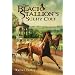 The Black Stallion's Sulky Colt (Black Stallion (Paperback))