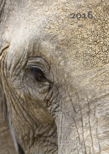 dicker TageBuch Kalender 2016 - Elefant Eye: Endlich genug Platz für dein Leben! 1 Tag pro DIN A4 Seite (German Edition)