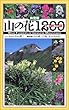 決定版 山の花1200-山麓から高山まで