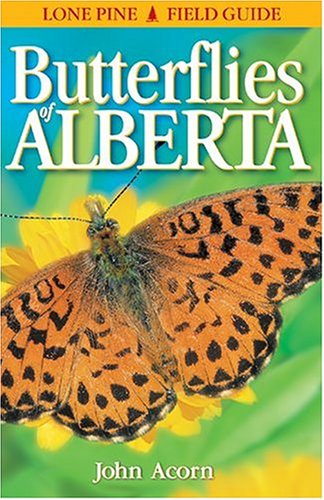 Insects