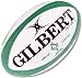 Gilbert Xact Match Rugby Ball-Ireland