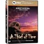 A Thief of Time