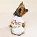 Surfer Girl Dog Jersey Tee Size Medium