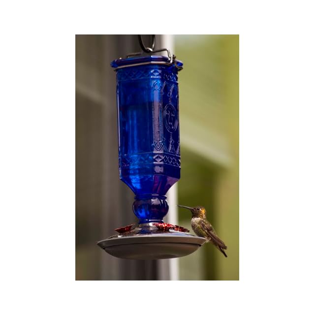 Perky Pet 8117 2 Cobalt Blue Antique Bottle Hummingbird Feeder 16