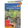 Creating a Garden Wildlife Pond