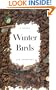 Winter Birds