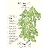 Edamame Green Soybean Envy Seed