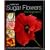 Sugar Flowers for Beginners: A Step-by-step Guide to Getting Started in Sugar Floristry