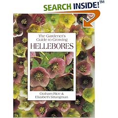 The Gardener's Guide to Growing Hellebores