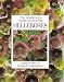 The Gardener's Guide to Growing Hellebores