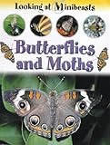 Butterflies and moths