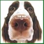 Artlist Collection the Dog 2005 Calendar English Springer Spaniel (Multilingual Edition)