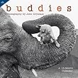 Buddies 2010 Wall Calendar