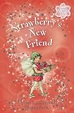 Strawberry's New Friend: A Flower Fairies Chapter Book (Flower Fairies)
