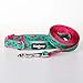 Blueberry Pet Essentials 2 Patterns Durable Pink Flamingo on Light Emerald Dog Leash 5 ft x 5/8