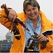 Two Very Alive Maine Lobsters, 1 1/4 pound each